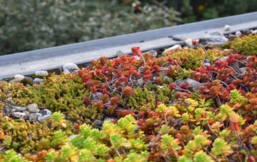 the cost of Gussage St Andrew green roof installation
