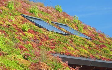 Gussage St Andrew living roof systems