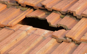 roof repair Gussage St Andrew, Dorset